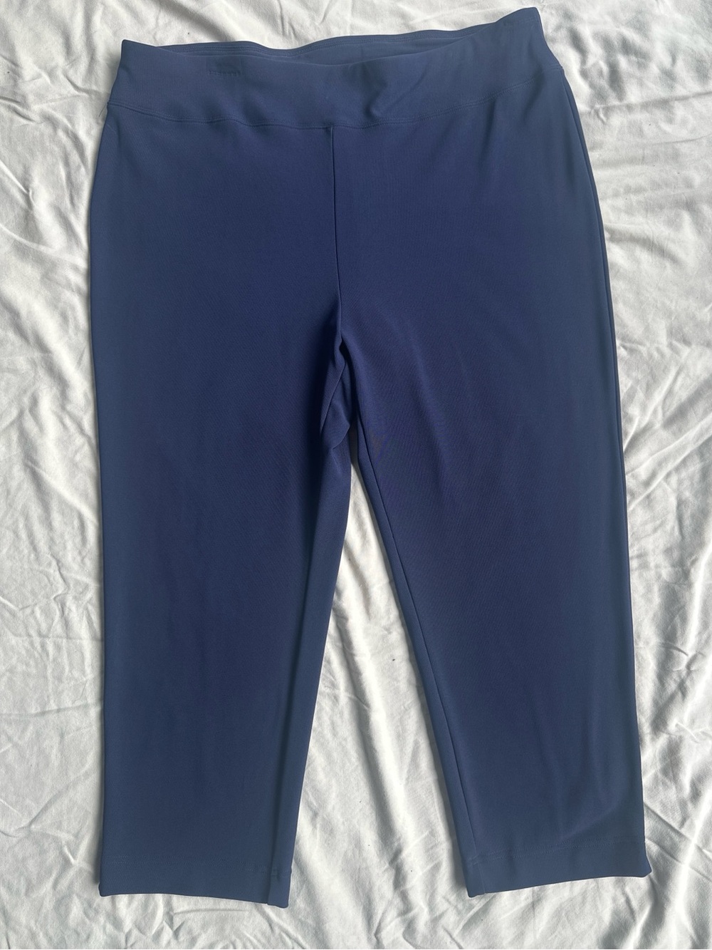 Boston Proper Stretch Cropped Pants in Navy